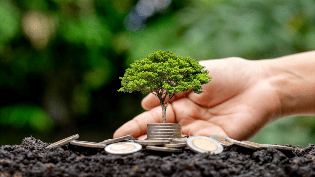 The Boom in Sustainable Startup Investments Trends Challenges and Future Growth