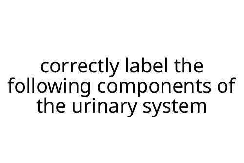 correctly label the following components of the urinary system