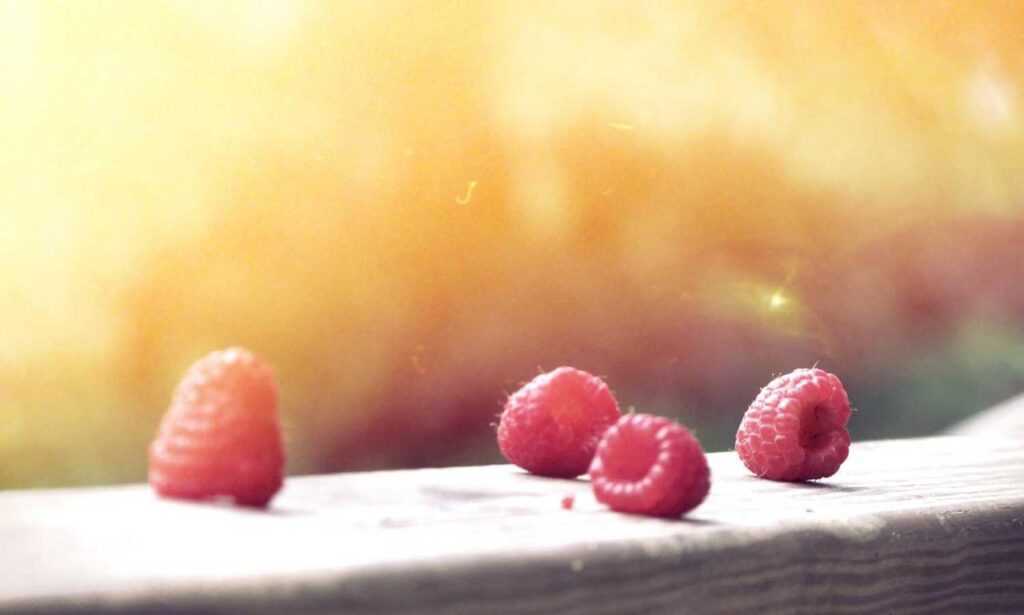 miexperienciatacobellrd.com