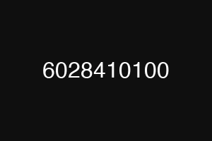 6028410100
