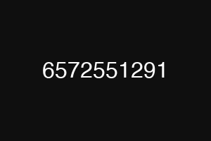 6572551291