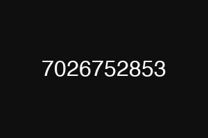 7026752853