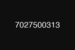 7027500313