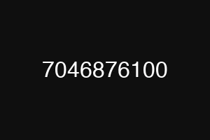 7046876100