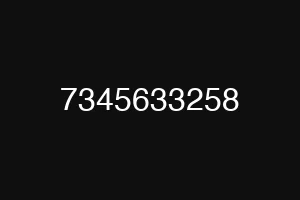 7345633258
