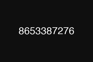 8653387276