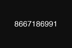 8667186991