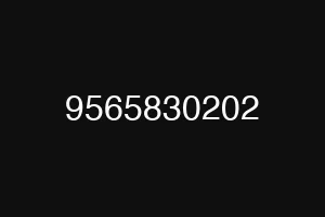 9565830202