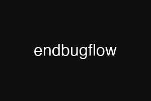 endbugflow