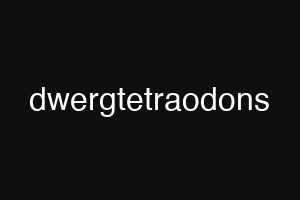 dwergtetraodons