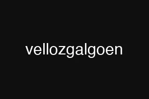 vellozgalgoen