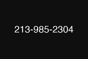 213-985-2304