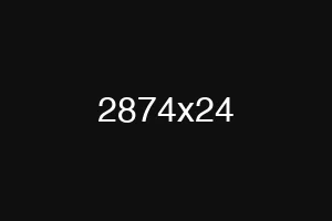 2874x24