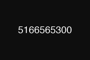 5166565300