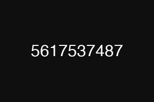 5617537487