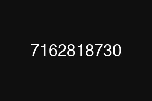 7162818730