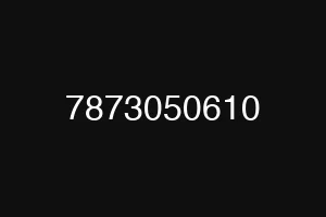 7873050610
