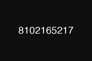 8102165217