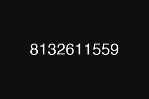 8132611559