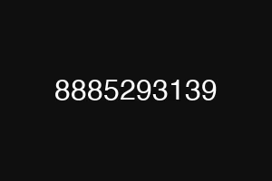 8885293139
