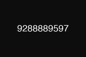 9288889597