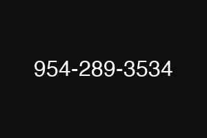 954-289-3534