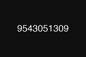 9543051309